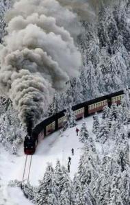 10403417_10153424232290031_6305374165896521832_n