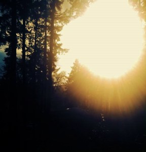 13116_10153258372591528_8359886825010356243_n