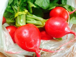 11289507_10153386788111528_5101168504861051531_o