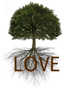 Rooted-in-Love1