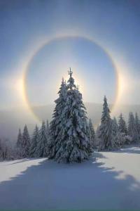 5787_10153870202231528_7833019874902868542_n