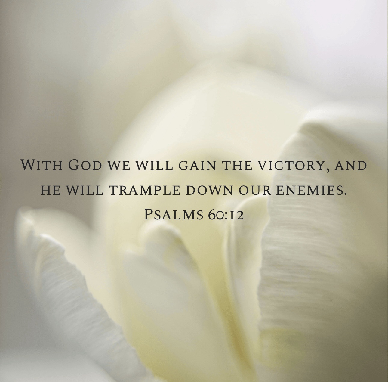 God’s Help Prevails When Human Help Fails – Oceans in the Desert